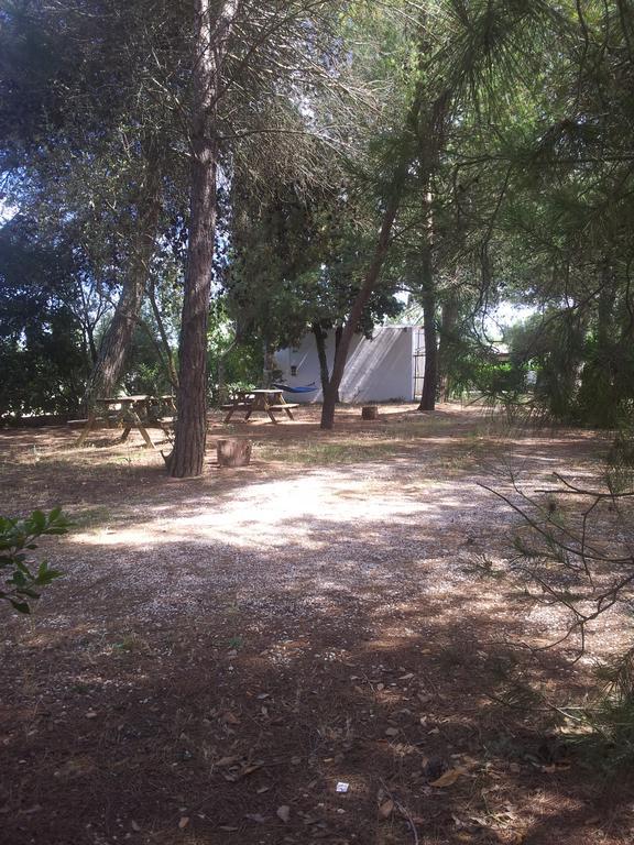 Agriturismo Vignavecchia Vignacastrisi Luaran gambar